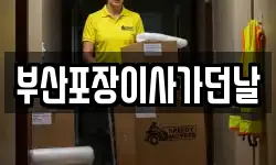 부산포장이사가던날