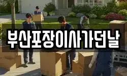 부산포장이사가던날