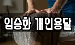 임승화 개인용달
