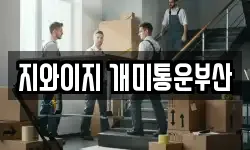 지와이지 개미통운부산
