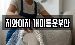 지와이지 개미통운부산