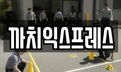 까치익스프레스
