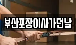 부산포장이사가던날