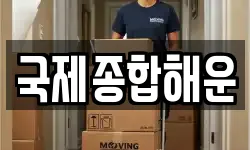 국제종합해운