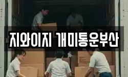 지와이지 개미통운부산
