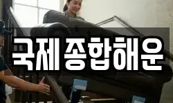 국제종합해운