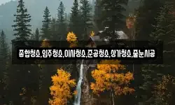 종합청소,입주청소,이사청소,준공청소,상가청소,줄눈시공