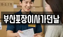 부산포장이사가던날