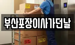 부산포장이사가던날