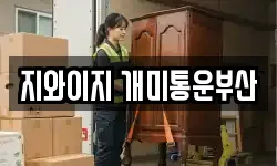 지와이지 개미통운부산