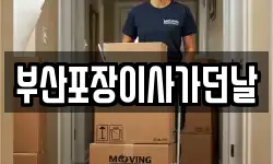 부산포장이사가던날
