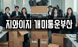 지와이지 개미통운부산