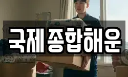 국제종합해운