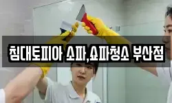 침대토피아 소파,쇼파청소 부산점