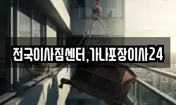 전국이사짐센터,가나포장이사24
