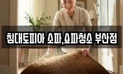 침대토피아 소파,쇼파청소 부산점