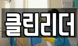 클린리더