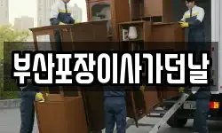 부산포장이사가던날