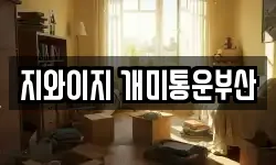 지와이지 개미통운부산