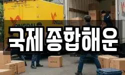 국제종합해운