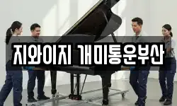 지와이지 개미통운부산