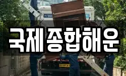 국제종합해운