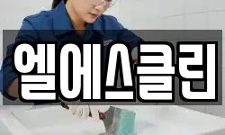 엘에스클린
