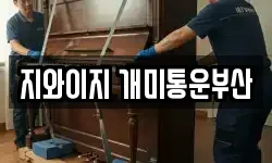 지와이지 개미통운부산
