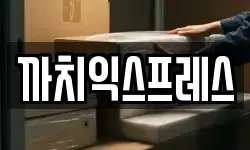 까치익스프레스
