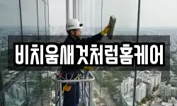 비치움새것처럼홈케어