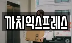 까치익스프레스