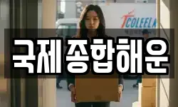 국제종합해운
