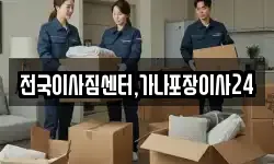 전국이사짐센터,가나포장이사24
