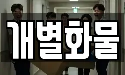 개별화물