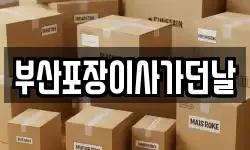 부산포장이사가던날