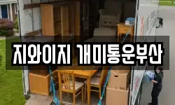 지와이지 개미통운부산