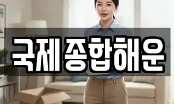 국제종합해운