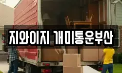지와이지 개미통운부산