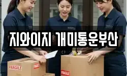 지와이지 개미통운부산