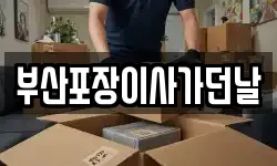 부산포장이사가던날