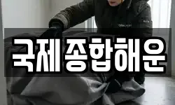 국제종합해운