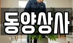 부산광역시 중구 창선동2가 청소,입주청소,사무실청소,에어컨청소
