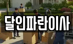 달인파란이사