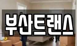부산트랜스