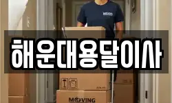 해운대용달이사