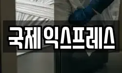 국제익스프레스