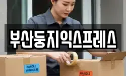 부산둥지익스프레스