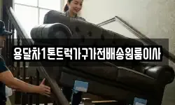 용달차1톤트럭가구가전배송원룸이사