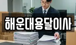 해운대용달이사