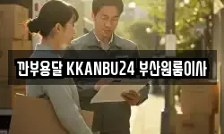 깐부용달 KKANBU24 부산원룸이사